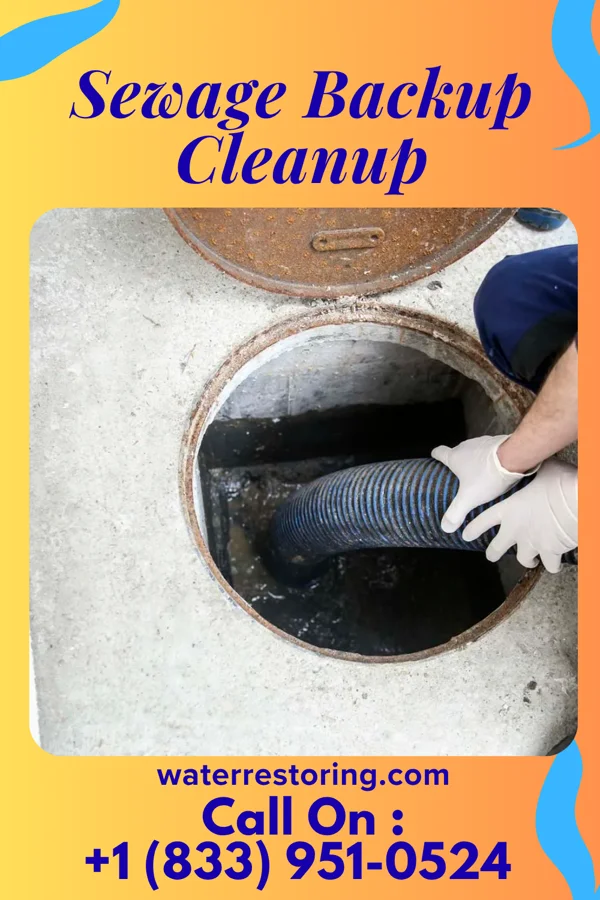 Sewage Backup Cleanup in Rollingstone, MN