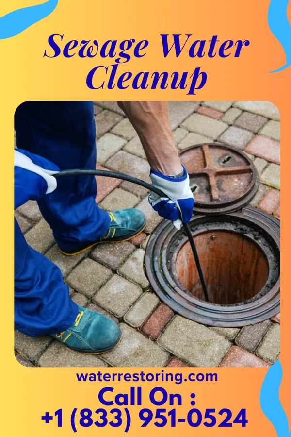 Sewage Water Cleanup in Rollingstone, MN