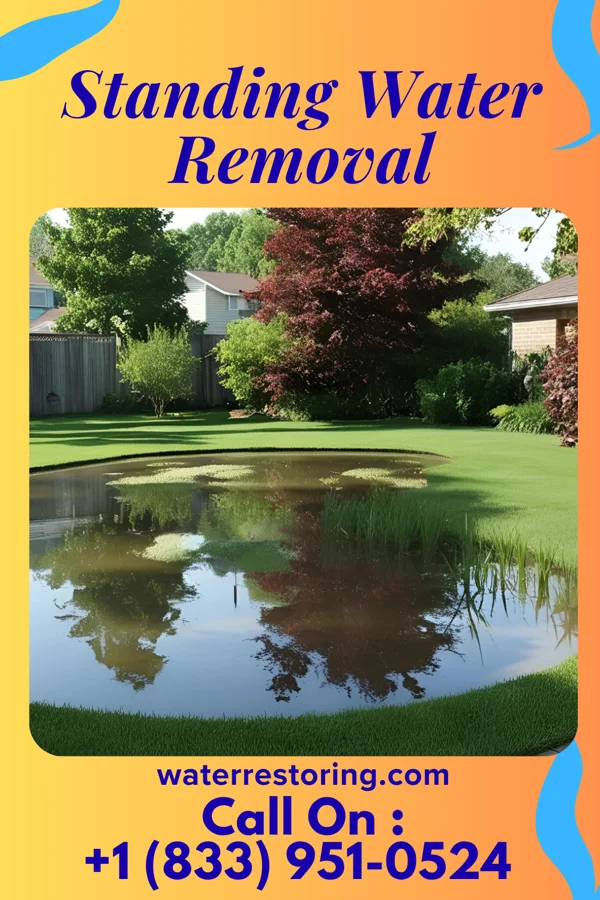 Standing Water Removal in Rollingstone, MN